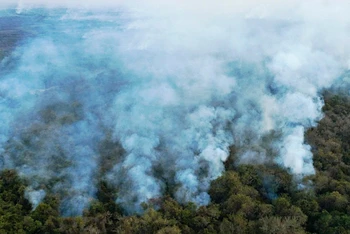 Khói lửa bốc lên từ hiện trường vụ hỏa hoạn ở khu vực Pantanal, bang Mato Grosso, Brazil, ngày 1/8/2020. (Ảnh: AFP/ TTXVN)