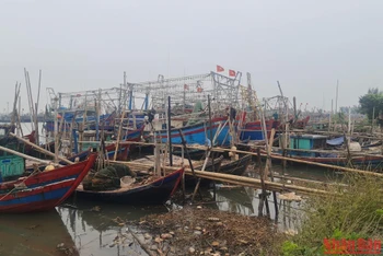 Tàu thuyền vào nơi tránh trú an toàn ven biển huyện Nghĩa Hưng, tỉnh Nam Định.