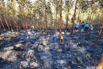Hiện trường vụ cháy rừng khiến 2 người tử vong.