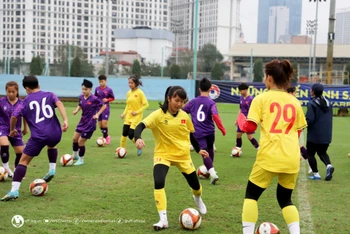 Các nữ tuyển thủ trẻ tập trung tập luyện. (Ảnh: VFF)