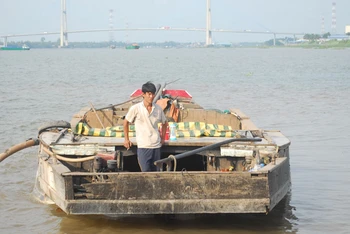 Mỏ cát tại xã Hòa Hưng, huyện Cái Bè đang được tỉnh Tiền Giang đẩy nhanh thủ tục để cấp phép khai thác. 