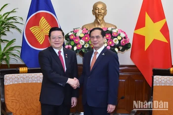 Bộ trưởng Ngoại giao Bùi Thanh Sơn và Tổng Thư ký ASEAN Kao Kim Hourn tại buổi tiếp.