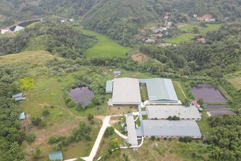 Trại lợn của Công ty trách nhiệm hữu hạn Nam Huế đặt trên đỉnh núi, gần khu dân cư trung tâm của thành phố Bắc Kạn. 