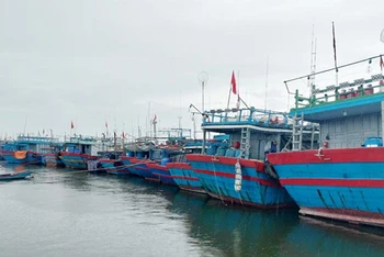 Tàu thuyền di chuyển vào cảng Tam Quang (huyện Núi Thành) tránh bão số 4.