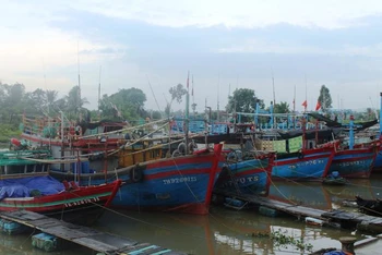 Tàu thuyền neo đậu trong âu tránh trú bão ở xã Quảng Thạch, huyện Quảng Xương.