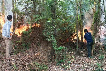 Chữa cháy rừng tại TP Bắc Giang ngày 1/11.