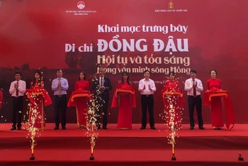 Khai mạc trưng bày chuyên đề.