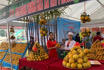 Các gian hàng bày bán Cam Cao Phong và các loại hoa quả khác tại lễ hội.