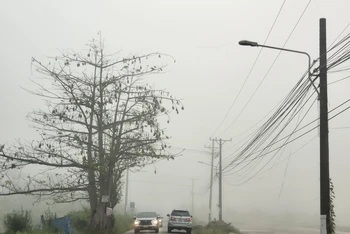 Sương mù xuất hiện dày đặc trên các tuyến đường ở thành phố Cần Thơ.