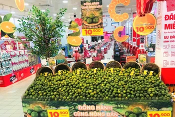 Cam sành Vĩnh Long chất lượng được giới thiệu bắt mắt tại siêu thị GO!.