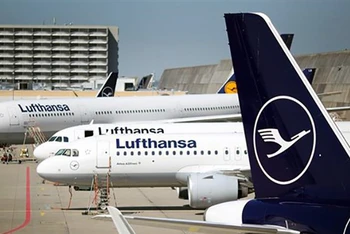 Các máy bay của Hãng hàng không Lufthansa đậu tại sân bay ở Frankfurt am Main, Đức. (Ảnh: AFP/TTXVN)