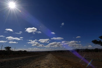 Nắng nóng gay gắt tại bang New South Wales, Australia. (Ảnh: AFP/TTXVN)
