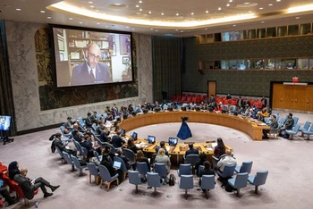 Một cuộc họp của Hội đồng Bảo an Liên hợp quốc. (Ảnh: THX/TTXVN)