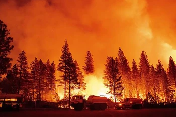 Hiện trường cháy rừng tại Foresthill, California, Mỹ. (Ảnh: AFP/TTXVN)