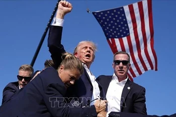 Ông Donald Trump được mật vụ Mỹ hộ tống khỏi sân khấu của sự kiện vận động tranh cử tại bang Pennsylvania sau khi xảy ra vụ nổ súng, ngày 13/7/2024. (Ảnh: AP/TTXVN)
