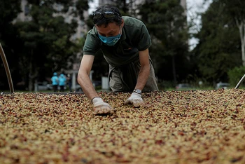 Ảnh minh họa. (Nguồn: Reuters)