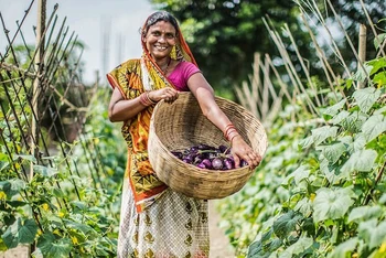 Các dự án nông nghiệp giúp xóa đói, giảm nghèo ở khu vực nông thôn của Nepal. (Ảnh ADB) 