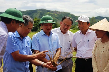Ðồng chí Bí thư Tỉnh ủy Lê Trường Lưu (thứ ba từ trái sang) kiểm tra mô hình đầu tư giảm nghèo tại huyện miền núi A Lưới. 