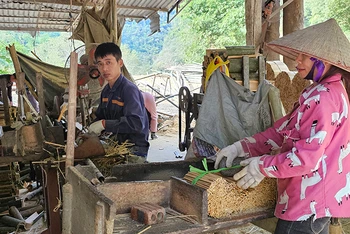 Chế biến luồng tạo việc làm, thu nhập cho người dân ở vùng thượng du Thanh Hóa. 