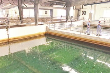Khu vực xử lý nước thô tại Nhà máy nước Tân Hiệp (huyện Hóc Môn). 