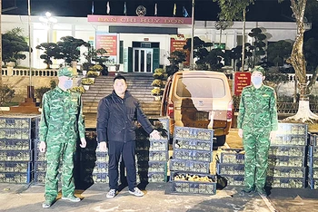 Ðồn Biên phòng Bắc Sơn phối hợp Phòng phòng chống ma túy và tội phạm (Bộ Chỉ huy Bộ đội Biên phòng Quảng Ninh) bắt giữ đối tượng vận chuyển trái phép gần 6.000 con gia cầm giống ngày 27/2/2024. 