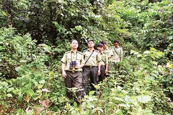 Lực lượng kiểm lâm tuần tra Khu bảo tồn thiên nhiên Kim Hỷ, huyện Na Rì, tỉnh Bắc Kạn. (Ảnh THU CÚC) 