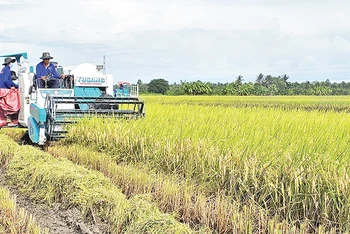 Cơ giới hóa trong sản xuất nông nghiệp tại vùng đồng bào dân tộc thiểu số ở Sóc Trăng. 