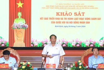 Phó Chủ tịch Quốc hội đề nghị Hội đồng nhân dân tỉnh Bình Định hoàn thiện Báo cáo tóm tắt gửi Hội đồng Dân tộc của Quốc hội, chậm nhất đến ngày 23/7 phải hoàn thành.