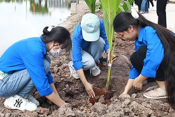 Đoàn viên, thanh niên Ninh Bình thực hiện các công trình tình nguyện trong khuôn khổ Ngày cao điểm.