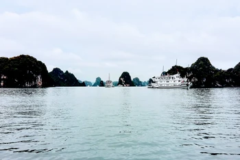Tàu du lịch trên vịnh Lan Hạ, Cát Hải, Hải Phòng. (Ảnh minh họa)