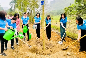 Phụ nữ thành phố Hải Phòng tổ chức trồng cây.