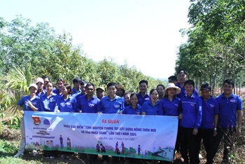 Các đoàn viên, thanh niên tại buổi ra quân số hóa cây sầu riêng trên địa bàn xã Cư Kbô, huyện Krông Búk trong ngày 17/3.