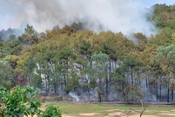 Hiện trường vụ cháy rừng xảy ra tại huyện Sóc Sơn ngày 4/6. 