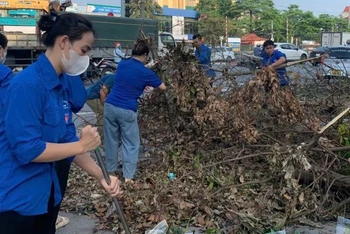 Thu dọn cây xanh gãy đổ sau bão. 