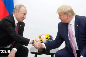 Tổng thống Nga Vladimir Putin (trái) và người đồng cấp Mỹ Donald Trump trong cuộc gặp bên lề Hội nghị thượng đỉnh G20 tại Osaka, Nhật Bản ngày 28/6/2019. (Ảnh: AA/TTXVN)