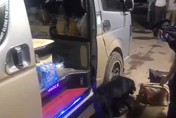 Lực lượng hải quan kiểm tra thùng hàng nghi vấn chứa ma túy.