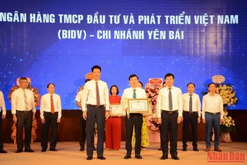 Trao tặng bằng khen cho các doanh nghiệp có thành tích hỗ trợ an sinh xã hội.