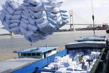 Cục Xuất nhập khẩu khuyến cáo các thương nhân theo dõi sát tình hình thị trường, đánh giá đầy đủ các cơ hội cũng như rủi ro để xây dựng phương án giao dịch, ký kết hợp đồng phù hợp. (Ảnh minh họa)