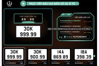 Xác lập kỷ lục mới về đấu giá biển số ô tô online, lên đến 75,2 tỷ đồng.
