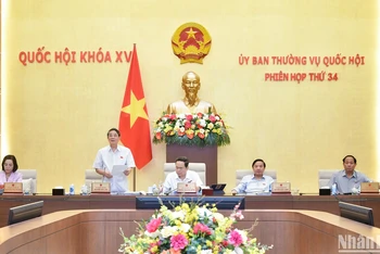 Phó Chủ tịch Quốc hội Nguyễn Đức Hải điều hành nội dung phiên họp, sáng 13/6. (Ảnh: DUY LINH)