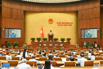 Cán bộ, công chức, viên chức Nhà nước có thể tham gia lực lượng gìn giữ hòa bình 