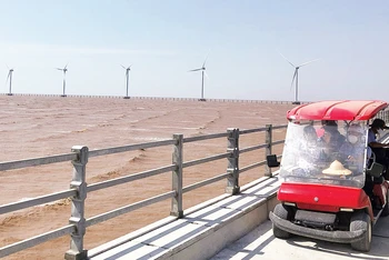 Dự án điện gió ngoài khơi đầu tiên tại tỉnh Bạc Liêu do Tập đoàn Phương Anh đầu tư.