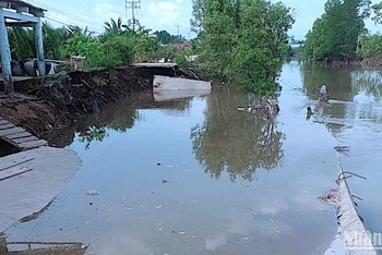 Liên tiếp các vụ sạt lở đất ven sông trên địa bàn huyện Đầm Dơi (Cà Mau) những ngày cuối tháng 5/2023, làm hư hỏng lộ nông thôn.