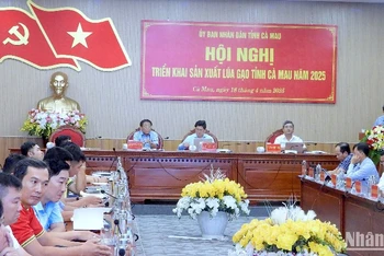 Hội nghị sản xuất lúa gạo tại Cà Mau chiều 18/4.