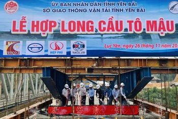 Lễ hợp long cầu Tô Mậu.