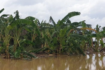 Khu vực nơi cháu bé tử vong.