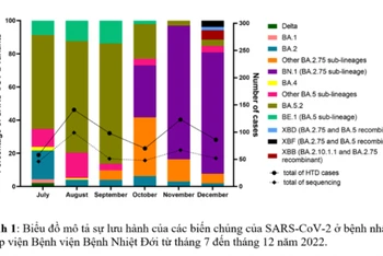 Biểu đồ mô tả sự lưu hành các biến thể SARS-CoV2 ở nhóm bệnh nhân Covid-19. (Ảnh: Bệnh viện cung cấp)
