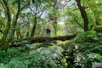 Loại hình du lịch khám phá, mạo hiểm (du lịch trekking) không còn xa lạ với nhiều người, nhất là với giới trẻ hiện nay.