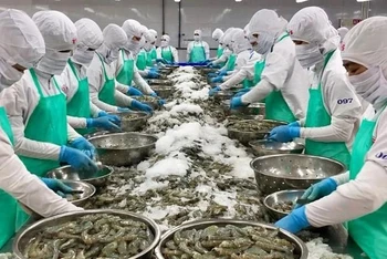 Trong những năm vừa qua, xuất khẩu nông, lâm, thủy sản của Việt Nam sang Mỹ đều đạt trên mức 13 tỷ USD (xuất siêu trên 10 tỷ USD) và nhập khẩu từ Mỹ khoảng trên 3 tỷ USD/năm.