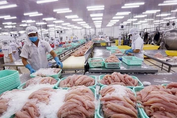 Dù xuất khẩu mạnh mẽ tới hơn 140 quốc gia, cá tra - niềm tự hào của ngành thủy sản Việt Nam - vẫn chưa thể tìm được vị trí xứng đáng trên mâm cơm người Việt.